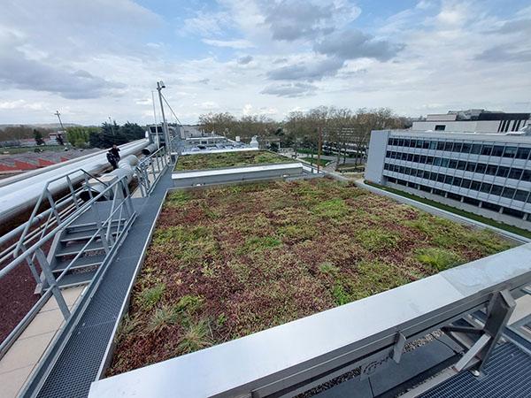 Plateforme GROOF pour toitures végétalisées / GROOF platform for vegetated roofs